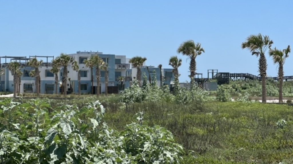 lively beach mustang island corpus christi beach wedding