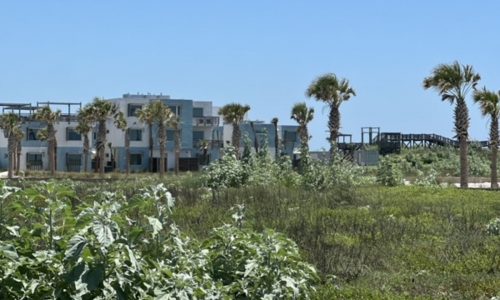 lively beach mustang island corpus christi beach wedding